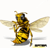 Avatar do Utilizador